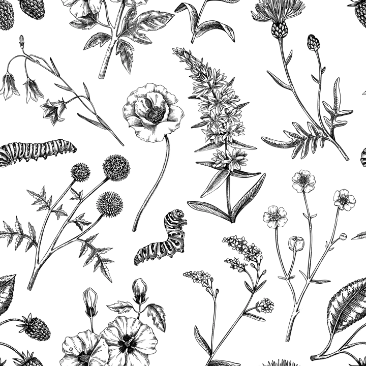 Hand-drawn summer background. Retro floral texture design. Sketched wildflowers seamless pattern. Vector illustration of field of flowers for wedding invitation, greeting cards, textile, packaging